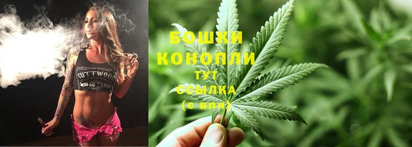 сатива Балахна
