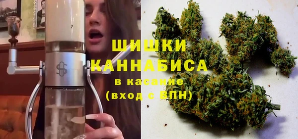 сатива Балахна