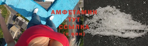 сатива Балахна