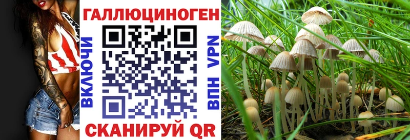 ссылка на мегу зеркало  мориарти формула  Велиж  Псилоцибиновые грибы прущие грибы  где купить наркоту 